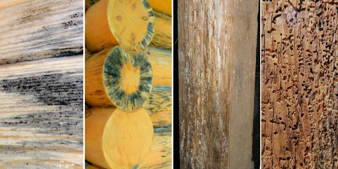 Морилка по дереву: характеристики и цветовые оттенки морилок для дерева